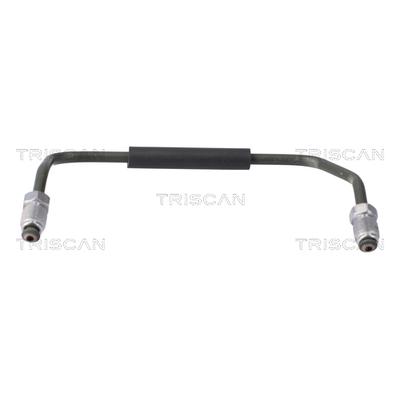 TRISCAN Bremssattel 8175 8102 für Tesla