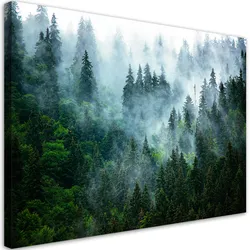WANDBILD wald im nebel