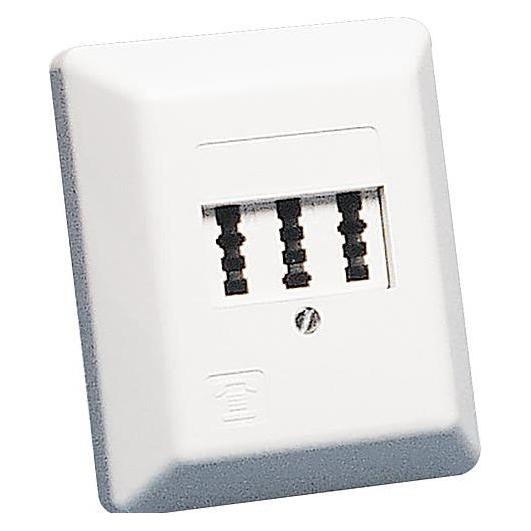 Rutenbeck TAE 2x6/6 NFF Ap rw - Wanddose - TAE-NFF (10310114)