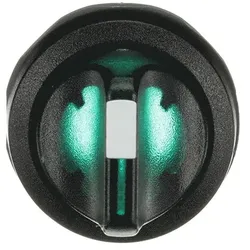 ABB M3SS1-11G Leuchtwahlschalter, grün, 3 Stellungen, kurzer Drehgriff rastend, Frontring Kunststoff schwarz, beleuchtbar 1SFA611210R1102
