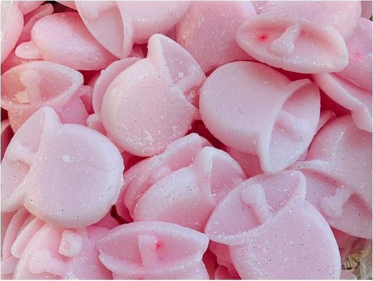 Little Hotties Waxmelts Sugar and Spice 20 stuks