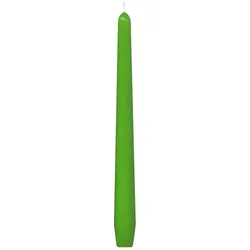 50x Spitzkerzen 245 mm 8 Stunden Brenndauer dunkelgrün