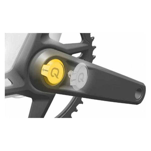Quarq PM Crank Arm Bolt AXS Cover Plug M18/M30 DUB Rival (11.7918.005.000)