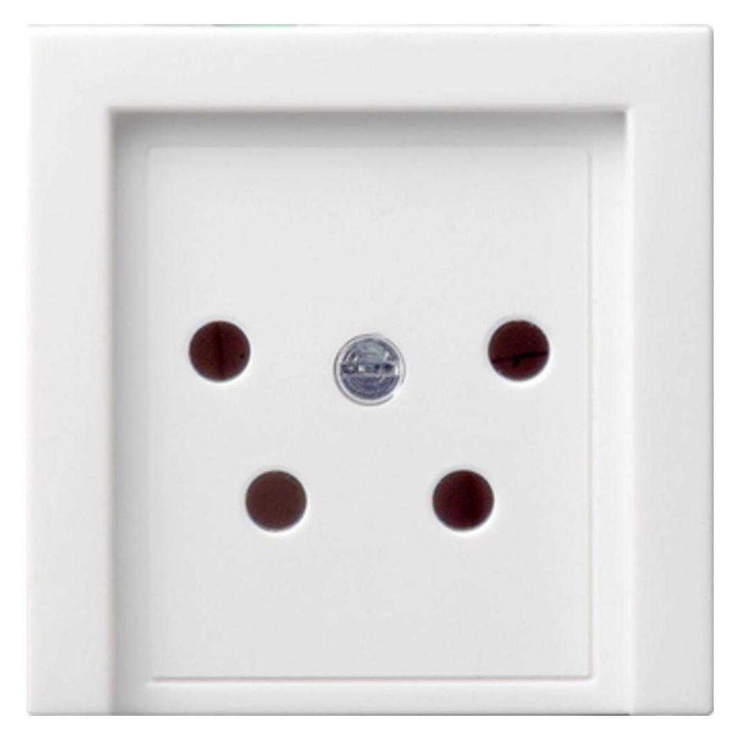Gira Zentraleinsatz rws-gl f.PTT-Steckdose 027903 (027903)