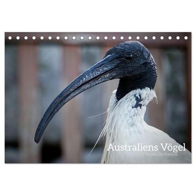 Australiens Vögel (Tischkalender 2027 DIN A5 quer), CALVENDO Monatskalender