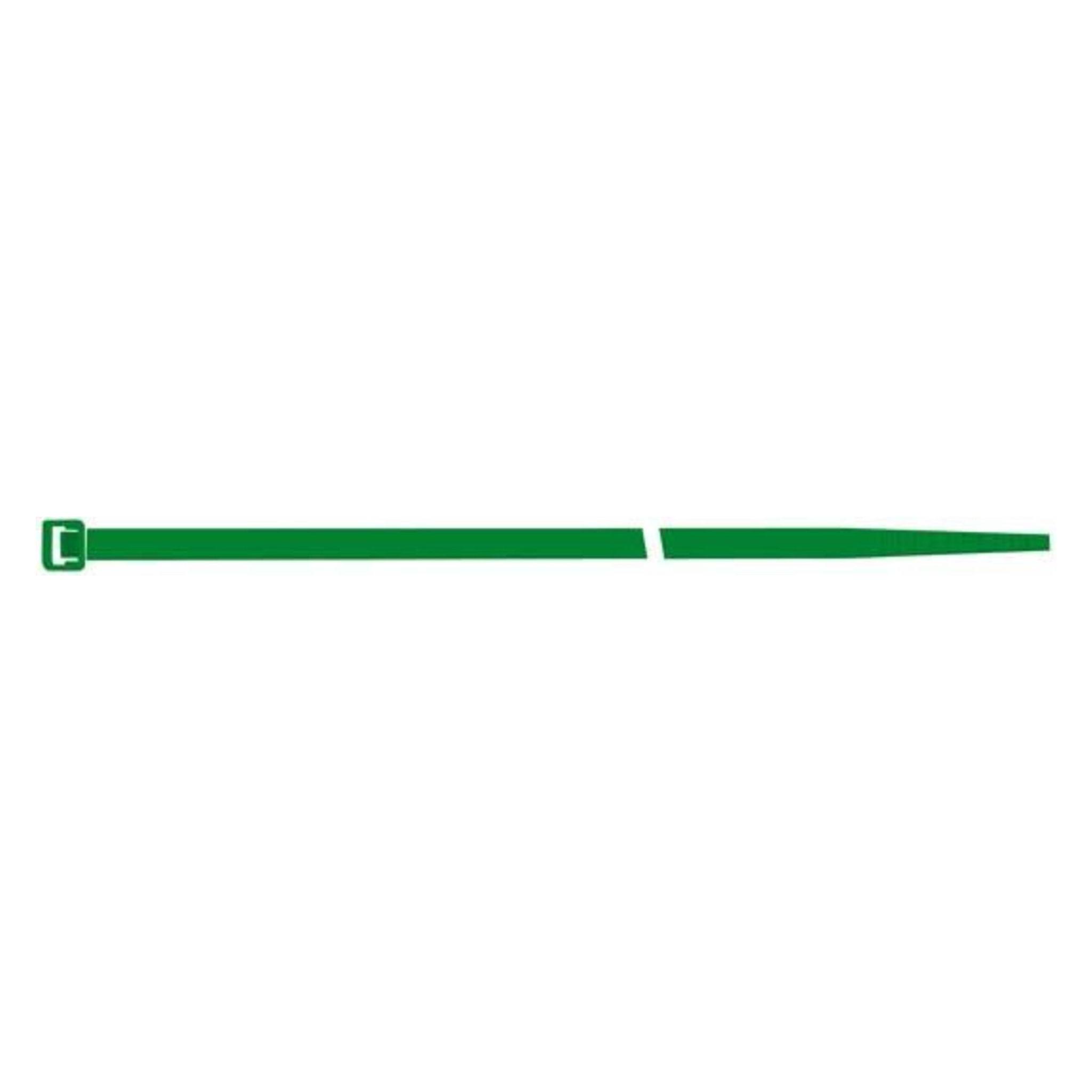 SapiSelco tryun Halskette Nylon tryun/B grün 100 x 2,5 100 mm (Kunststoffkabelbinder, 100 mm, 100 Stk.) (8014748302861)