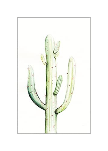 Komar Saguaro Watercolor Kunstdruk Poster, Multicolour, 50 x 70 cm