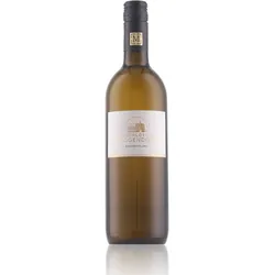 Schloss Raggendorf Riesling trocken 12,5% Vol. 0,75l