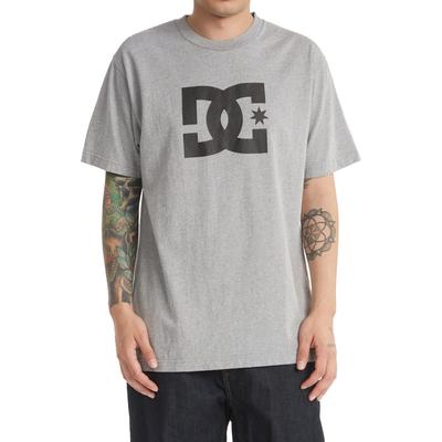 T-Shirt DC SHOES "DC Star", Herren, Gr. S, grau (erdgrau), Obermaterial: 100% Baumwolle., Shirts T-Shirt
