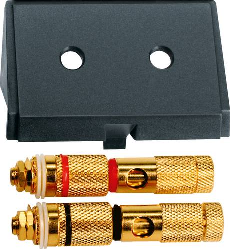 Merten Lautsprecher-Steckdose System M Schwarz 464387 1St.