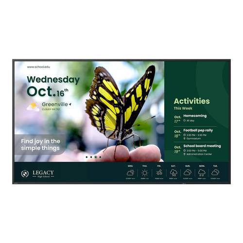BenQ ST5504 Android 14 Digital Signage Display EEK: G (A - G) 109cm 55 Zoll 3840 x 2160 Pixel 18/7
