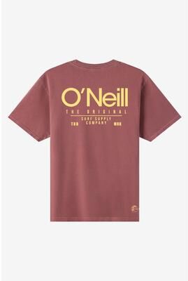 O'Neill s O'riginals Convene Vintage T-Shirt in Apple Butter, Size Large