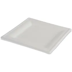 emissimo 50 x Bio Einweg Speiseteller 15x15cm biologisch abbaubar und kompostierbar weiß  500 Stück