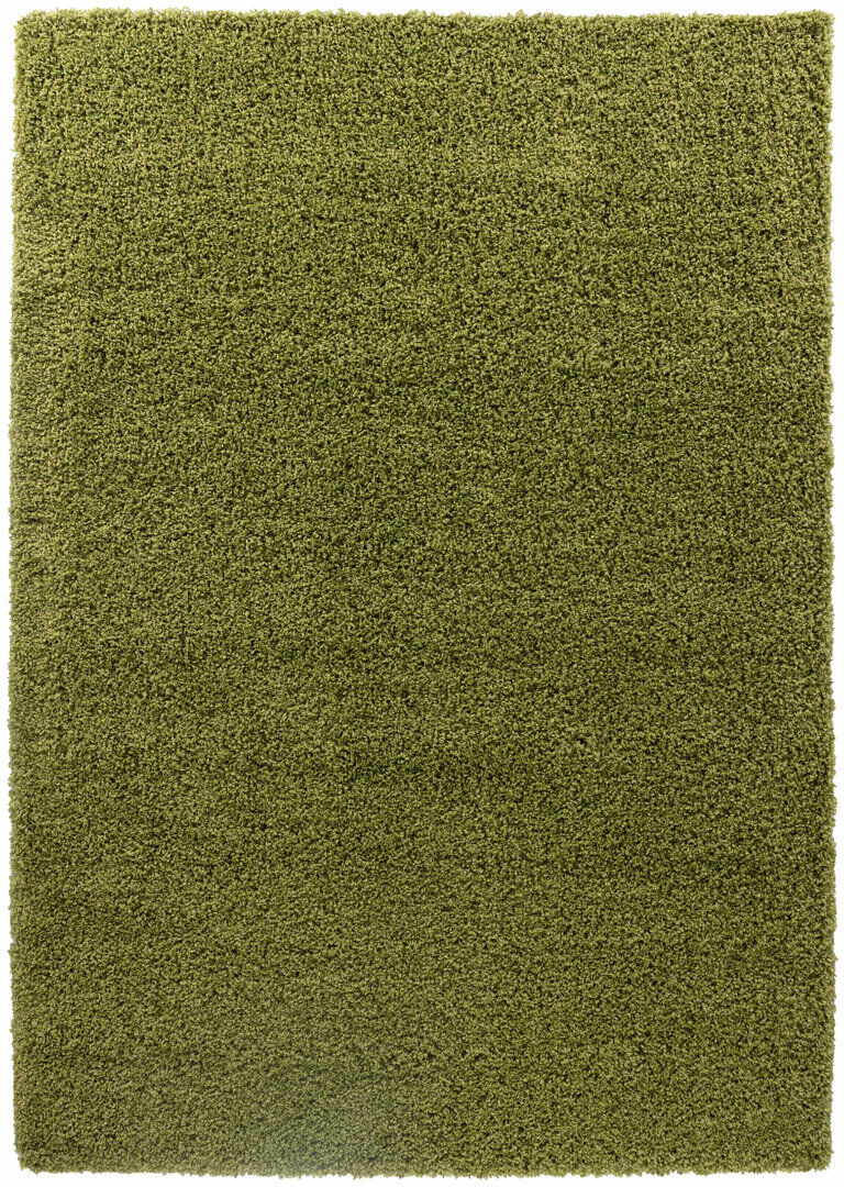 Hashtag Home Esterly Shaggy Area Rug Green Rectangle 160 x 230cm