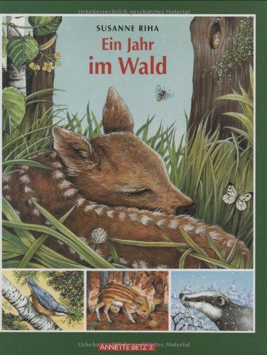 Susanne Riha - Ein Jahr im Wald - Preis vom 01.10.2026 17:08:56 h