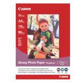 Canon GP-501 Fotopapier 29.7x21 cm (100 Blatt)