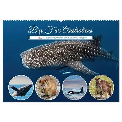 Big Five Australiens Buckelwal, Walhai, Orca, Quokka,Känguru (Wandkalender 2027 DIN A2 quer), CALVENDO Monatskalender