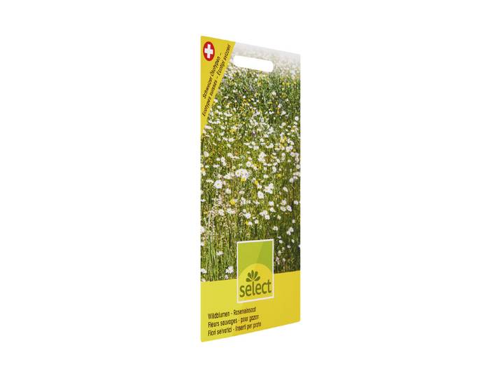 Select Wildblumen für Rasen 20 Stück