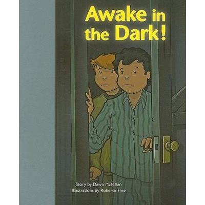 Awake in the Dark!, Taschenbuch von Stckvagn, Houghton Mifflin, 978-1-4190-5527-0