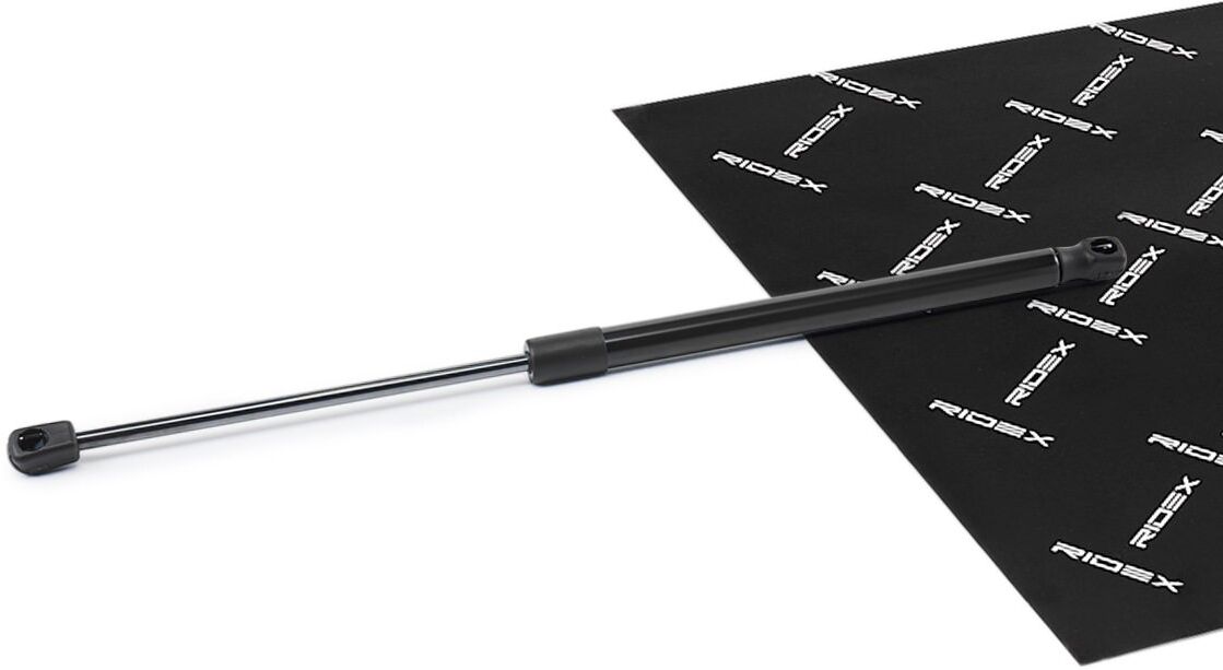 RIDEX 219G1172 Tailgate strut