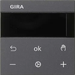 Gira RTR BT System 539428