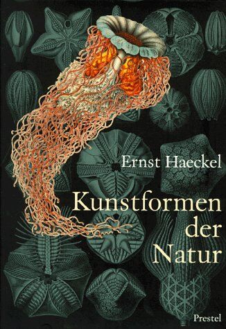 Ernst Haeckel - Kunstformen der Natur - Preis vom 16.10.2026 11:41:07 h