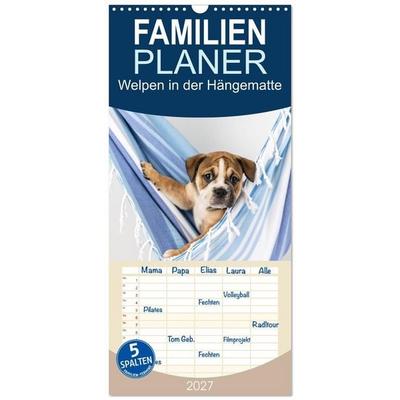 Familienplaner 2027 - Welpen in der Hängematte mit 5 Spalten (Wandkalender, 21 x 45 cm) CALVENDO