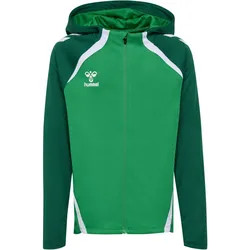 hummel hmlLEAD 2.0 Kapuzenjacke Kinder 6327 - jelly bean/evergreen 140