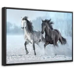 LEINWAND Bilder mit Rahmen - Pferde - Winter - Tiere - Natur - Schnee - 60x40
