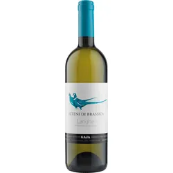 GAJA Alteni di Brassica - Langhe DOC - Sauvignon Blanc