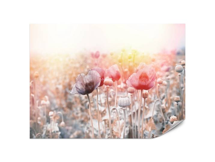 FOTOTAPETE für Wohnzimmer Mohnfeld Wiese Sonnenaufgang Natur 200x140