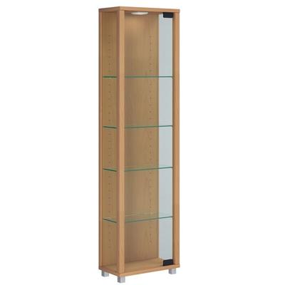 Holz Glas Stand Vitrine Sammelvitrine Edana Mini