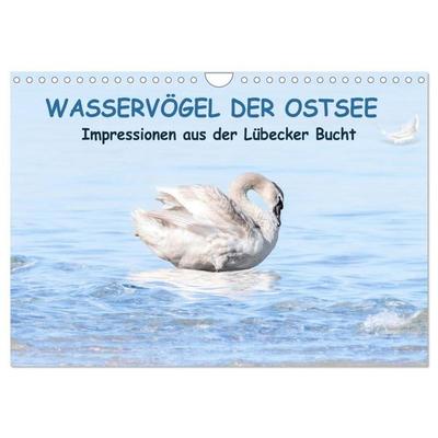 Wasservögel der Ostsee - Impressionen aus der Lübecker Bucht (Wandkalender 2027 DIN A4 quer), CALVENDO Monatskalender