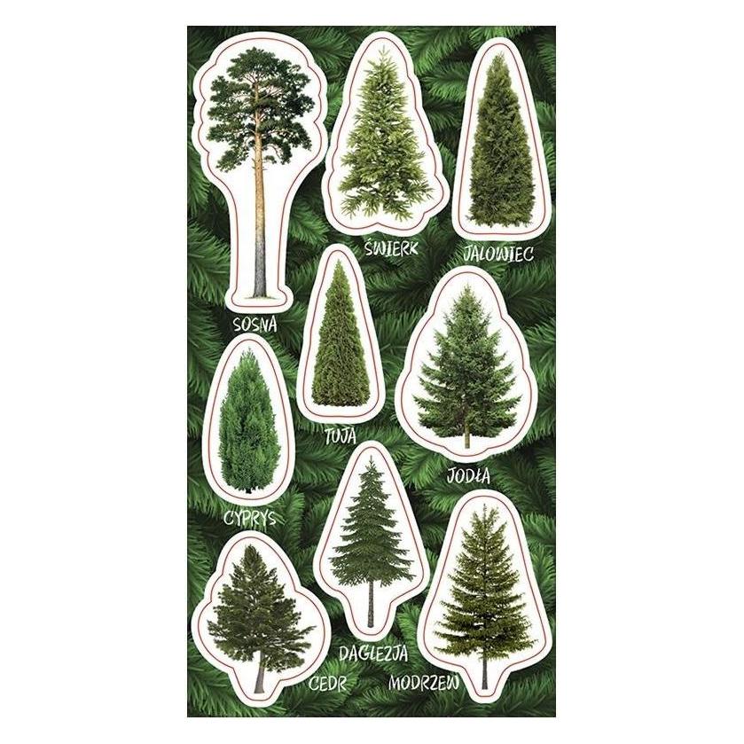 Ranok Aufkleber für Nadelbäume (9 Sticker) (47996072)
