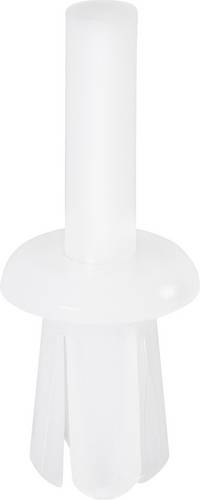 PB Fastener 301-0765-000 301-0765-000 Spreizniete Loch-Ø 7mm Natur