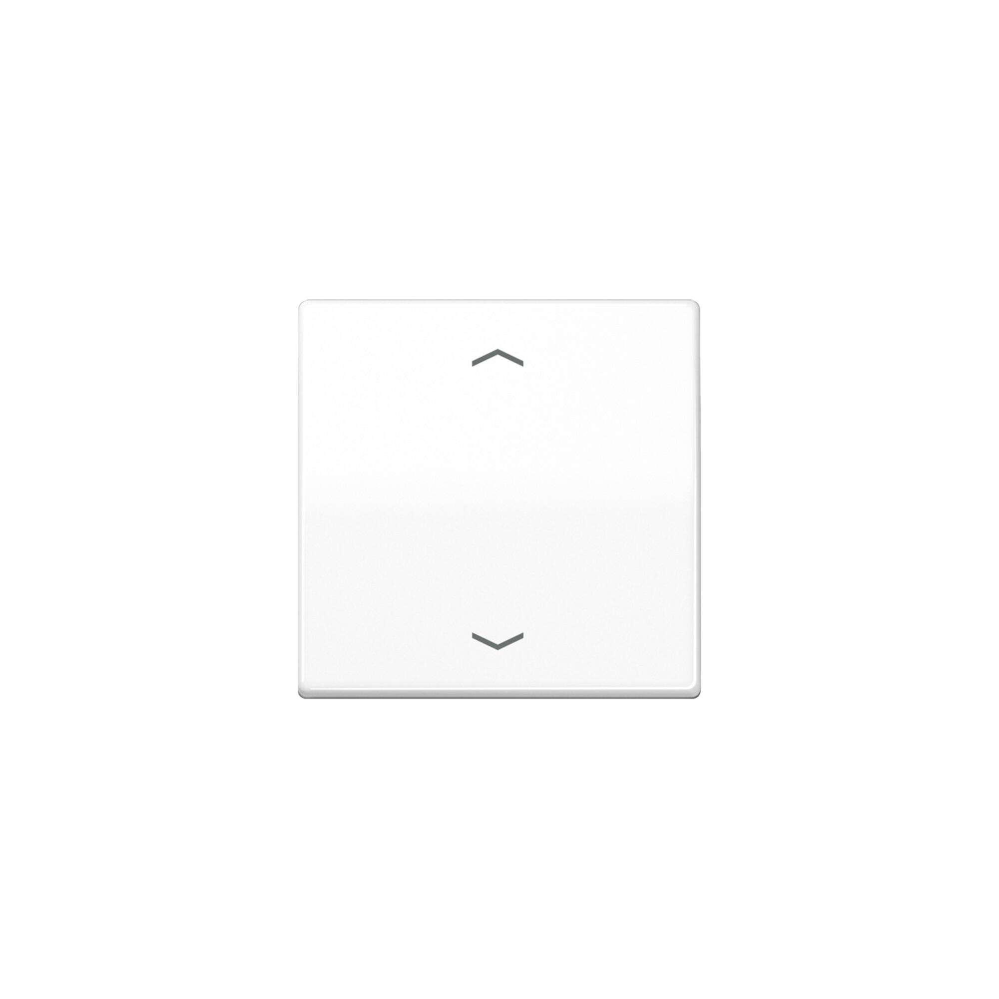 Jung Steuertaste Standard Symbole Pfeile AS 1700 P WW (AS1700PWW)