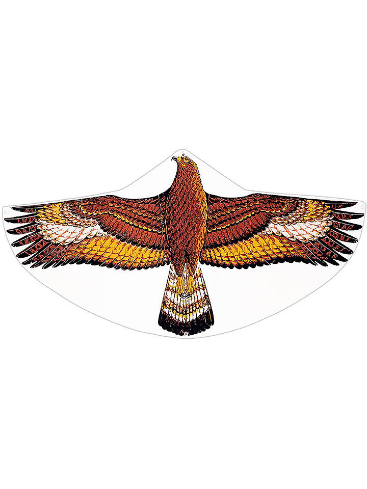 Günther Drache "STEINADLER" - (L)68 x (B)122 cm - onesize