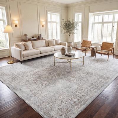 SAFAVIEH Evoke Quinn Vintage Distressed Rug