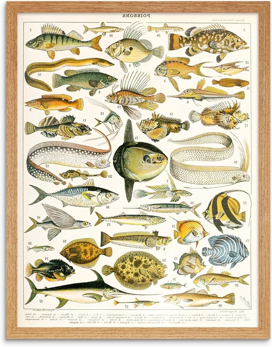 Ingelijste Poster Vis Kunst Wanddecoratie voor de Woonkamer, 30 x 41 cm
