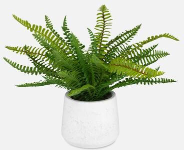 Uttermost Boston Fern In White Ceramic Pot