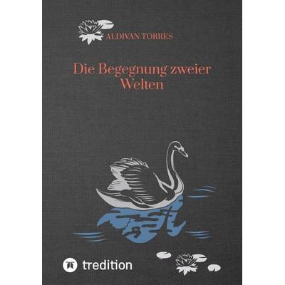 Die Begegnung zweier Welten, Taschenbuch von Aldivan Torres, Tredition, 978-3-384-41255-3