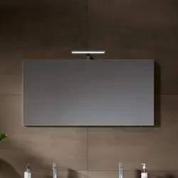 RIHO Porto Spiegel rechteckig, ohne Beleuchtung, verspiegelt, F014017ALU, Ausführung: 1200x600mm