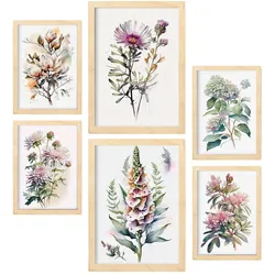 POSTER Set Mit 6 Waldblumen Vollfarbige Natur Und Botanikdrucke Mit Blumenmotiven Auf Reinweißen Hintergründen A3 & A4 Rahmen Aus Hellem Holz