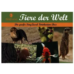 Singliesel Tiere der Welt, 40 Karten (Deutsch)
