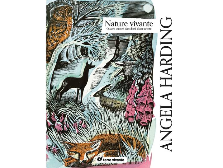 Nature vivante - Quatre saisons dans l'oeil d'une artiste (Relié)