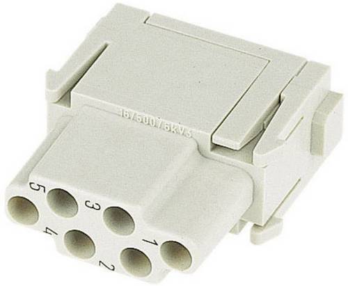 HARTING 09140063101 Buchseneinsatz Han C-Modul 6 + PE Crimpen 1 St.