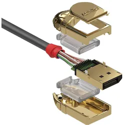 Lindy DisplayPort — DisplayPort (2 m), Videokabel, Gold