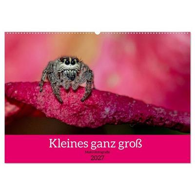 Kleines ganz groß - Makrofotografie (Wandkalender 2027 DIN A2 quer), CALVENDO Monatskalender