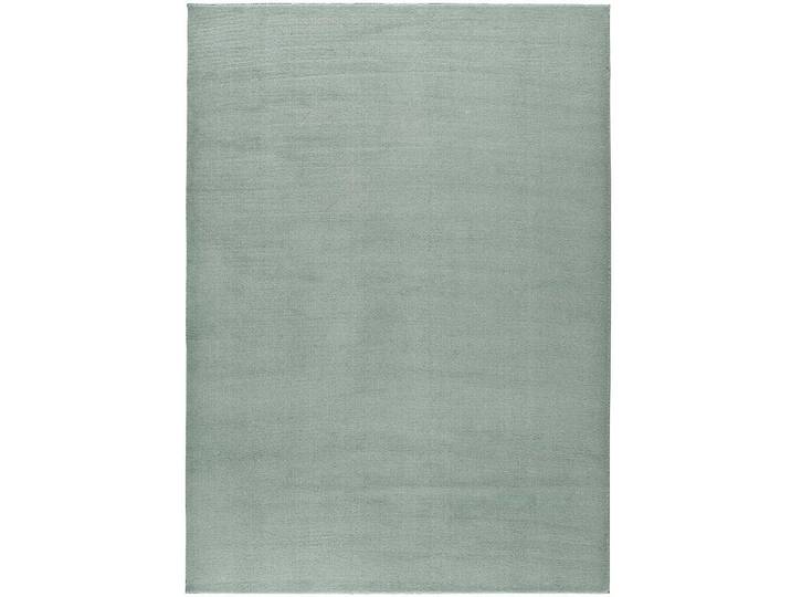 Atticgo Hochflorteppich waschbar Grün Loft 200/290 cm, Mode, Rechteckig, 200x290 cm, waschbar, antistatisch, leicht zusammenrollbar, rutschfeste Unterfläche, Teppiche und Böden, Teppiche, Flachwebteppiche