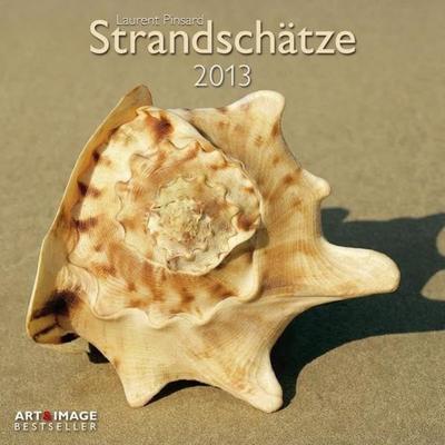 Strandschätze A&I 2013